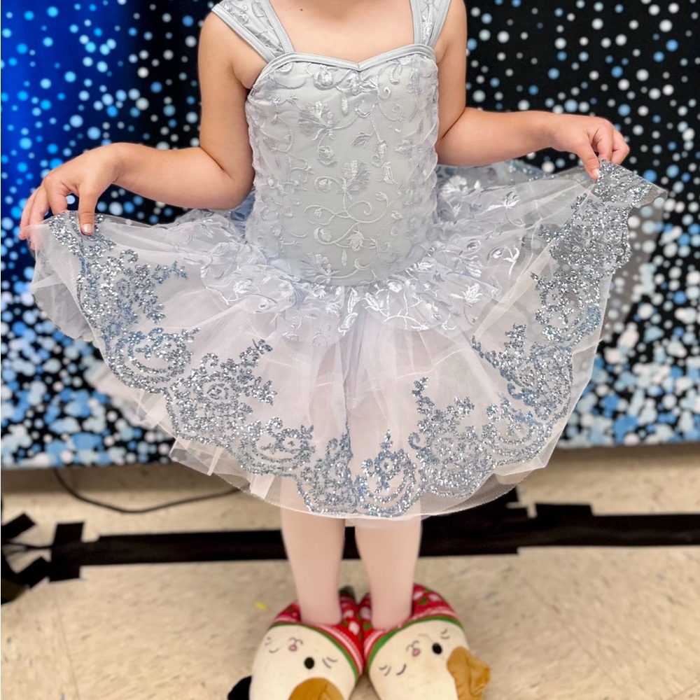 Elegant Silver Kids Costume Dress